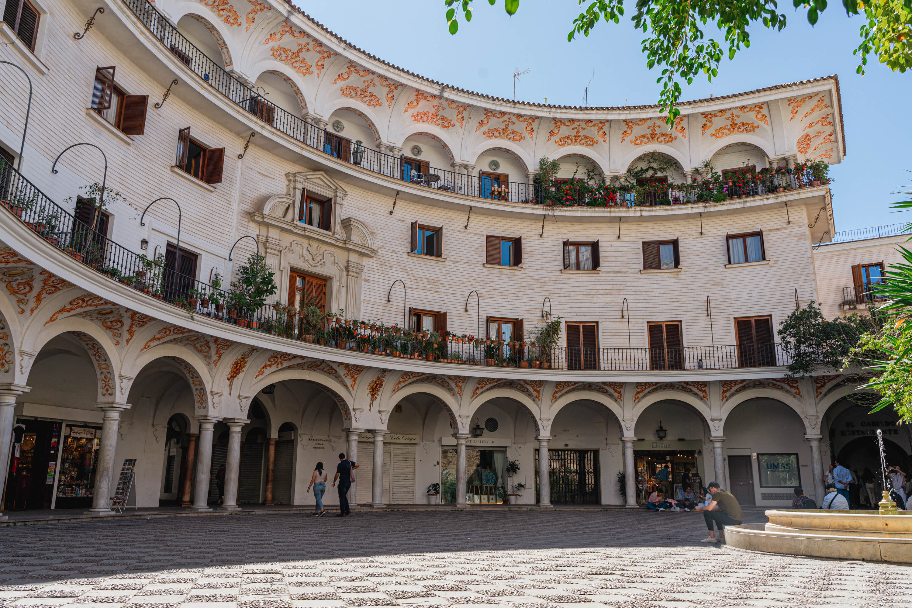 Entspanne Mit Dem Zwitschern Der V Gel Auf Dem Plaza Del Cabildo