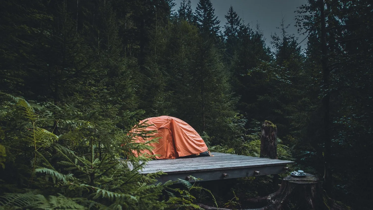 11 Orte in Deutschland, an denen du legal Wildzelten darfst | Reisevergngen