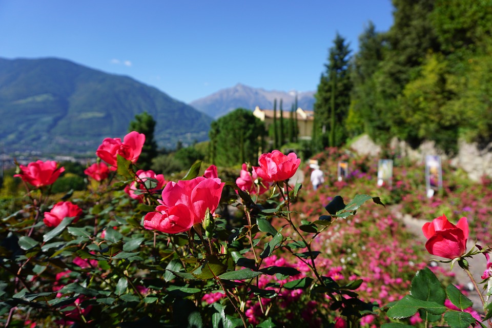 Besuche das Merano Flower Festival Reisevergnügen