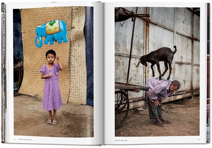 Reise Bildbände, Animals, Steve McCurry