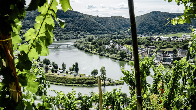 Mosel Tipps Deutschland, Wein Deutschland