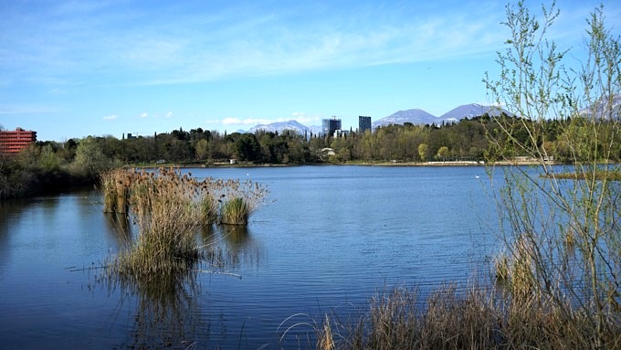 Liqeni Artificial i Tiranës