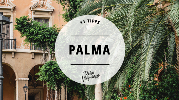palma guide, reisevergnügen