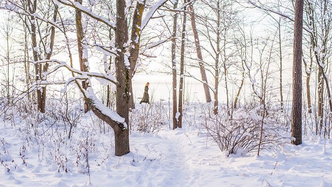 Estland Winter