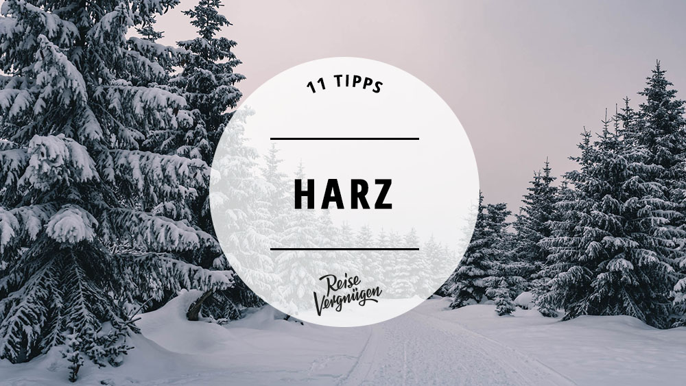 harz winter