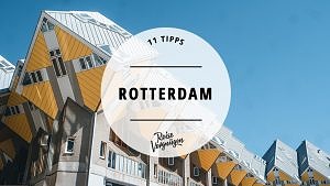 Rotterdam 11 Tipps