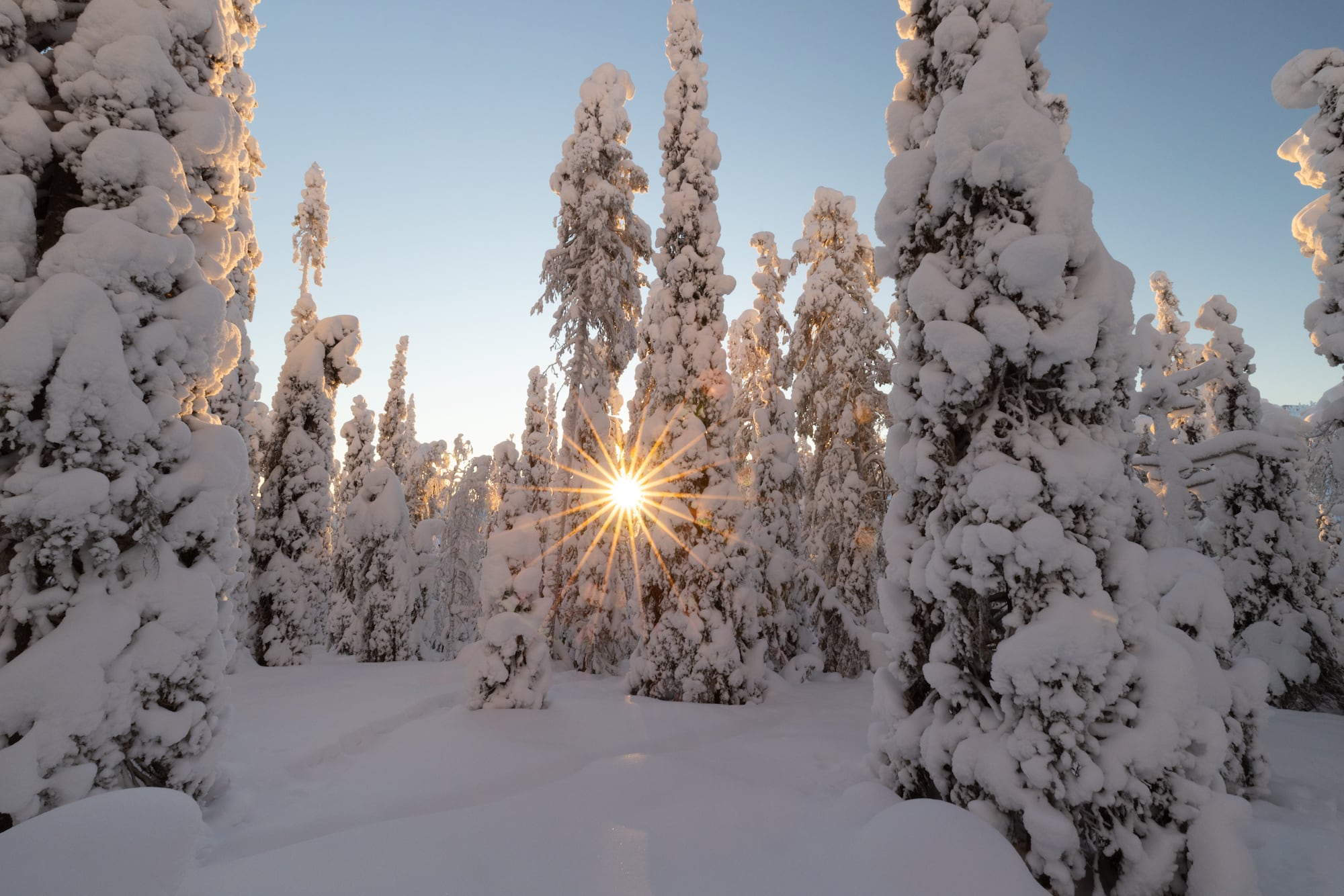 #Finnisch Lappland – 11 Abenteuer und Erlebnisse im Winter