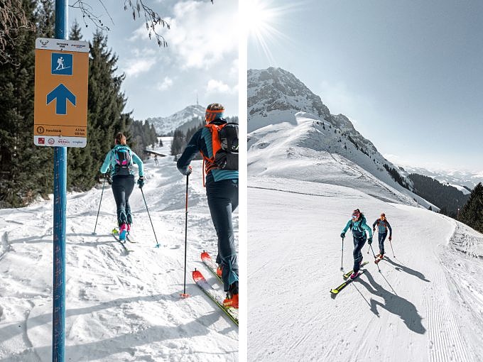 Skitouren gehen für Anfänger*innen – Wo fange ich am besten an ...