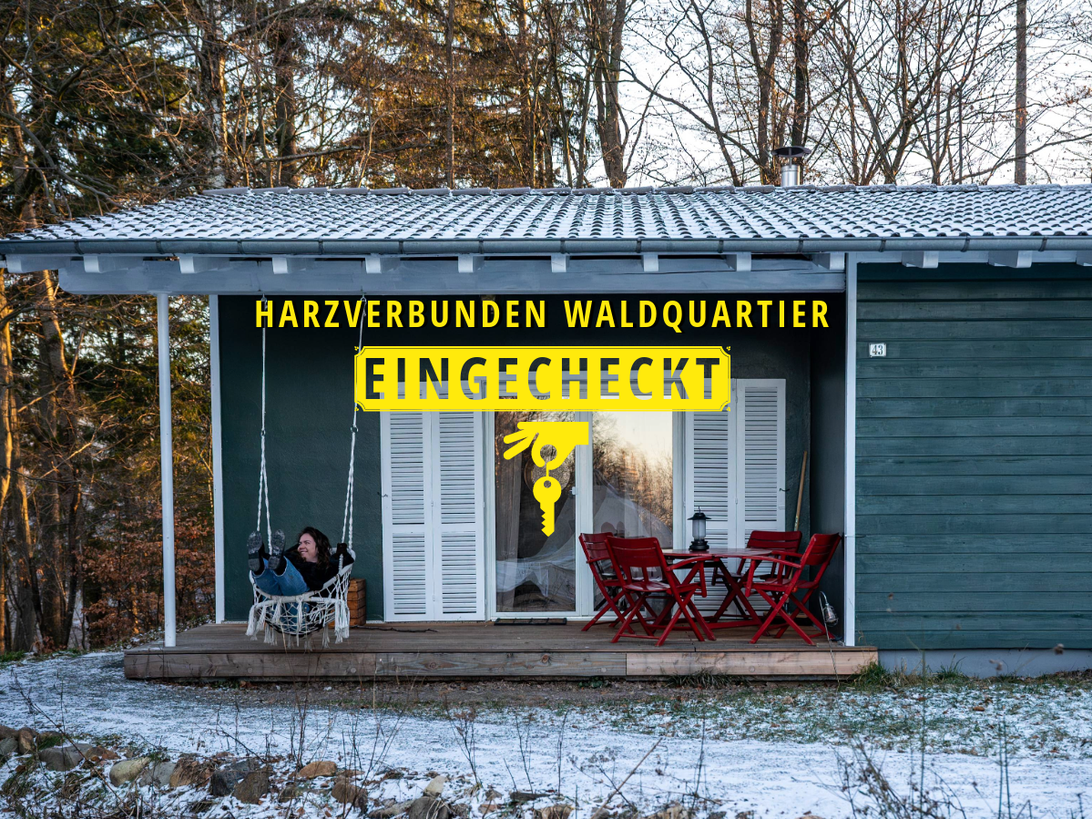 #Eingecheckt – Erlebe den Harz in den naturnahen Hütten des Harzverbunden Waldquartier